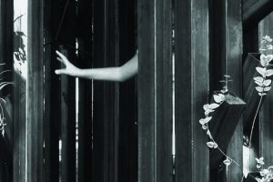 CD “A palavra e o gesto” de Alfredo Teixeira